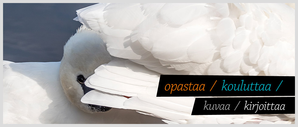 Fotoinfo opastaa, kouluttaa, kuvaa ja kirjoittaa