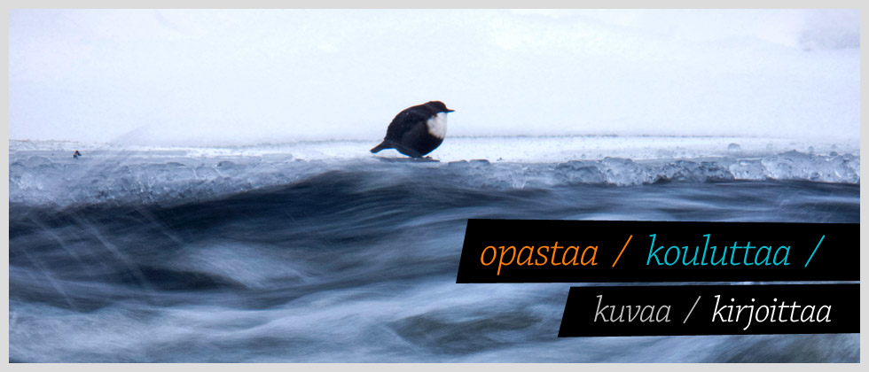 Fotoinfo opastaa, kouluttaa, kuvaa ja kirjoittaa