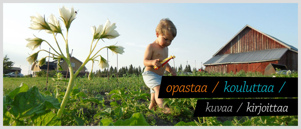 Fotoinfo opastaa, kouluttaa, kuvaa ja kirjoittaa