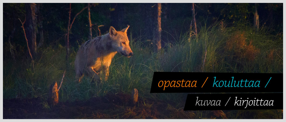 Fotoinfo opastaa, kouluttaa, kuvaa ja kirjoittaa