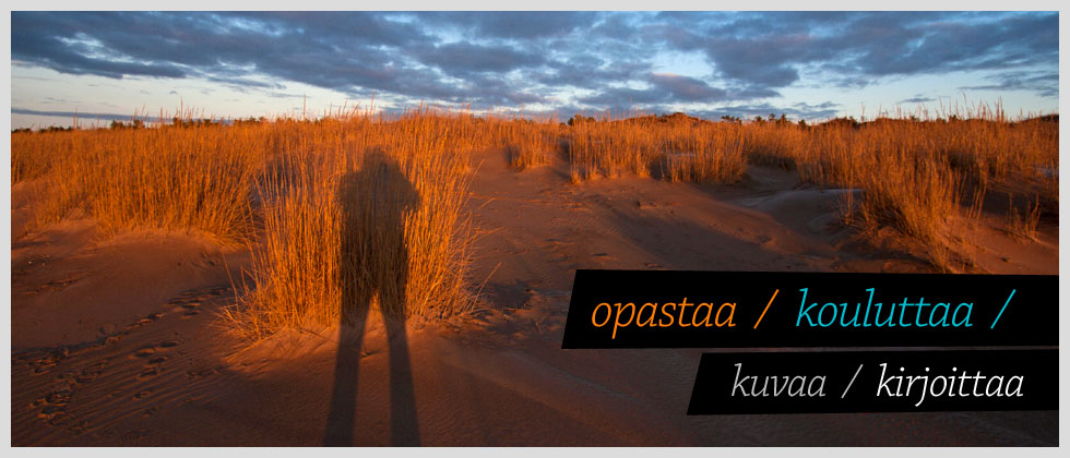 Fotoinfo opastaa, kouluttaa, kuvaa ja kirjoittaa